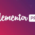 Elementor Pro