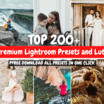 Premium Lightroom Presets